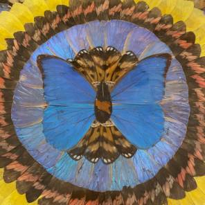 A Round Butterfly Wing Collage